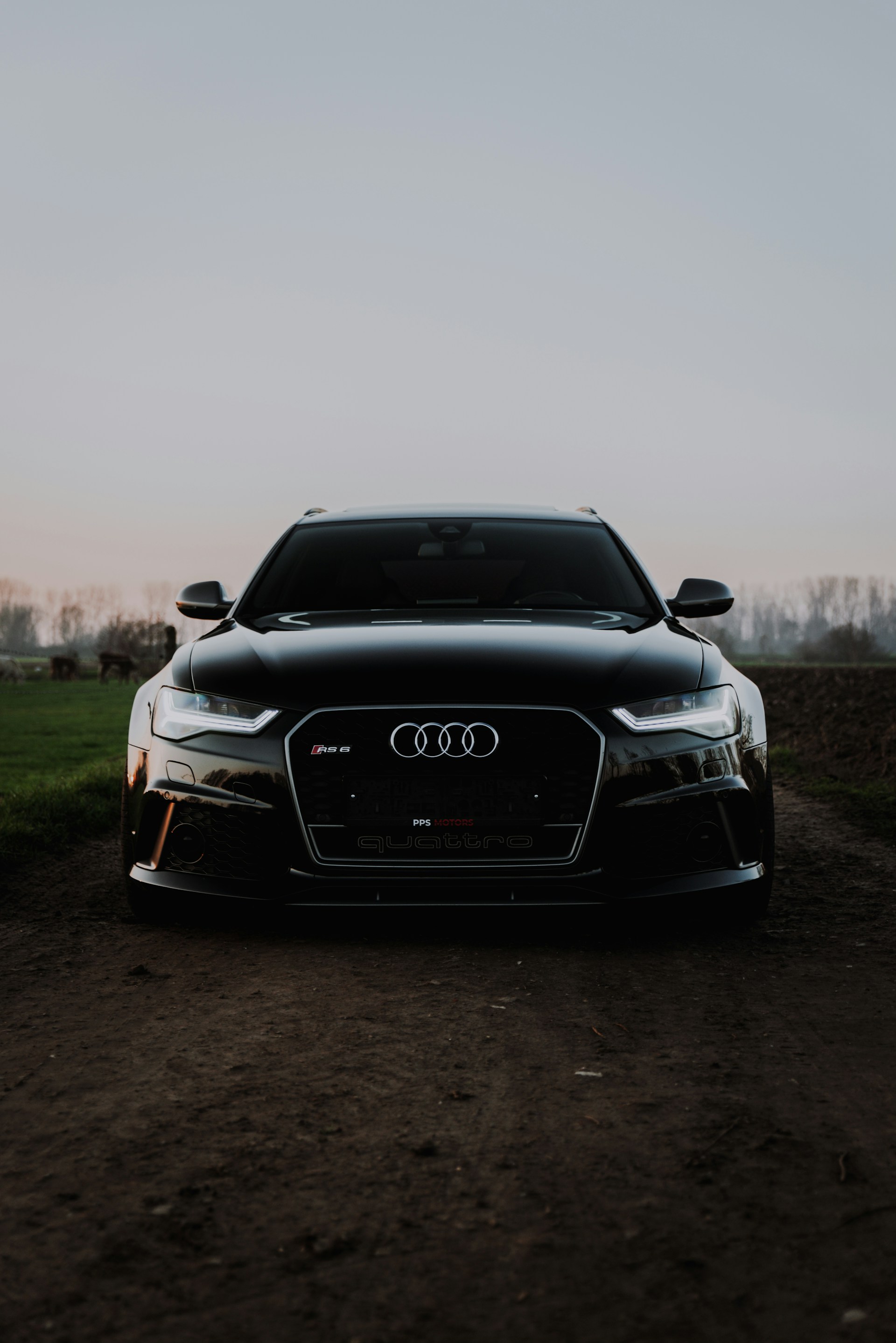 Black Audi RS6 Avant photographed in a natural setting
